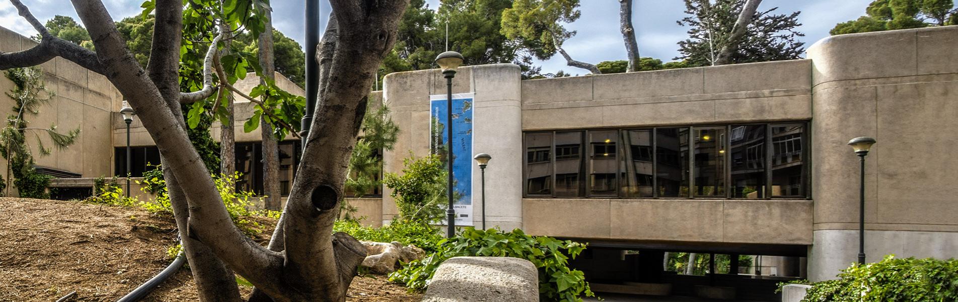 Museo de Albacete