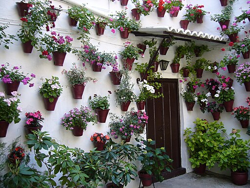 Patios de Córdoba