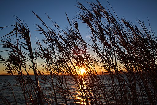 Parque Natural de La Albufera