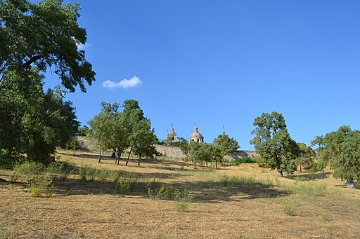 Bosque de la Herrería