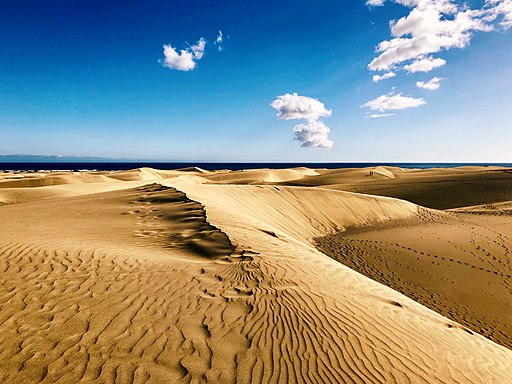 Dunas de Maspalomas