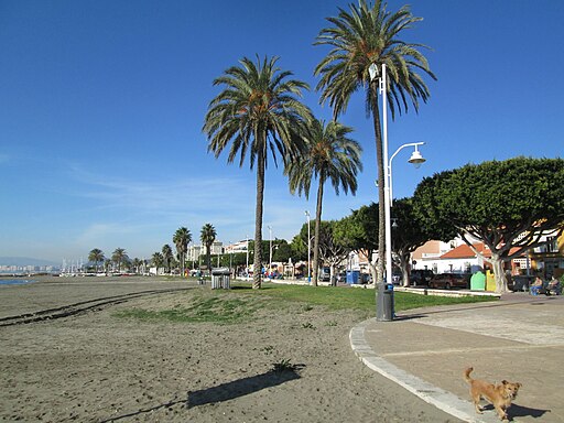 Playa del Palo