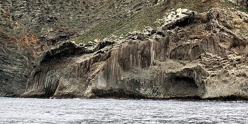Los Órganos