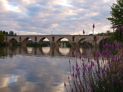 Puente de Piedra