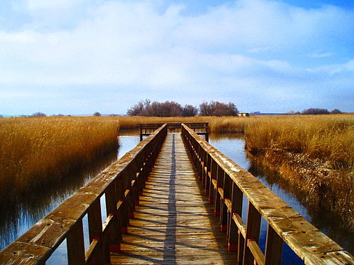 Parque Nacional Las Tablas de Daimiel
