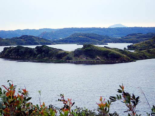 Parque Natural S'Albufera des Graus