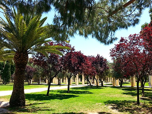 Jardín del Turia