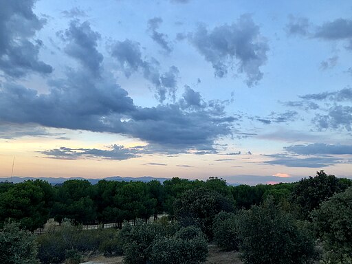 Monte del Pilar