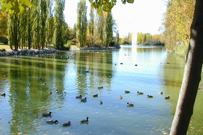 Parque Natural El Soto