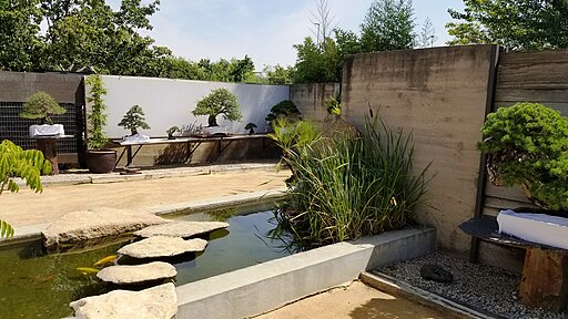 Museo Bonsai Luis Vallejo