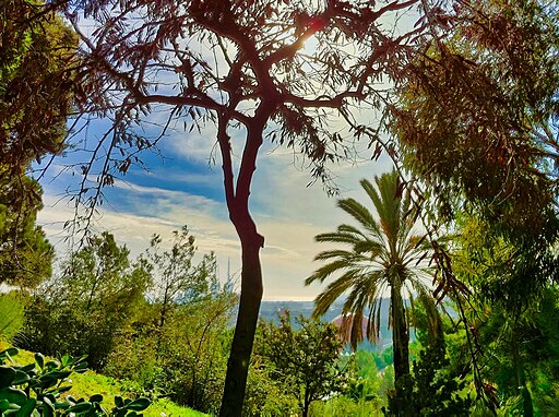 Parc del Turo